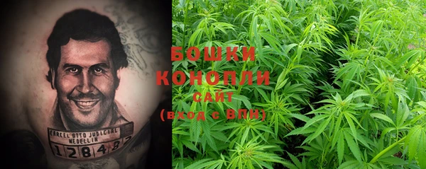 стафф Кулебаки