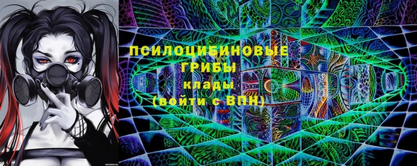 стафф Кулебаки