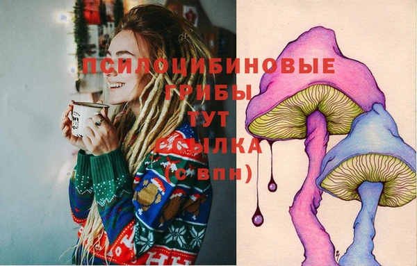 хмурый Кукмор