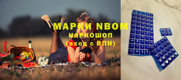стафф Кулебаки