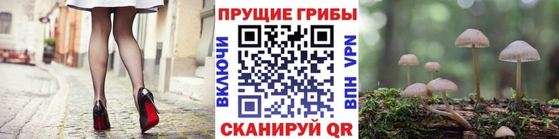 даркнет сайт Челябинск Галлюциногенные грибы мухоморы