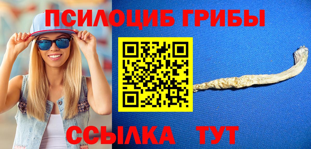 продажа наркотиков  Челябинск  Псилоцибиновые грибы GOLDEN TEACHER 